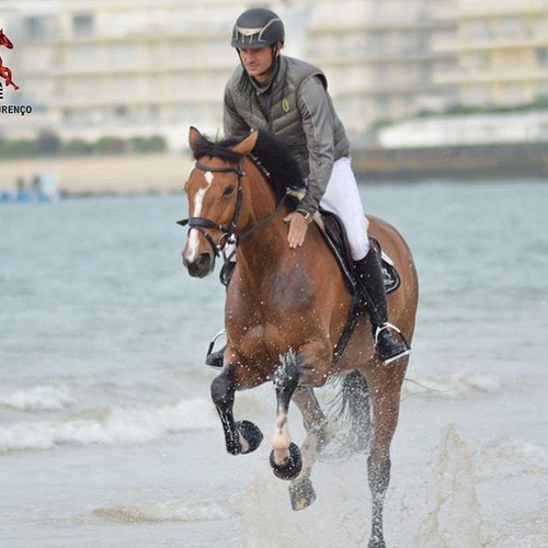  Bianca qui fait des bains de mer aiu CSIO de La Baule